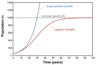 Population Dynamics — From the Derivative to the Logistic Equation